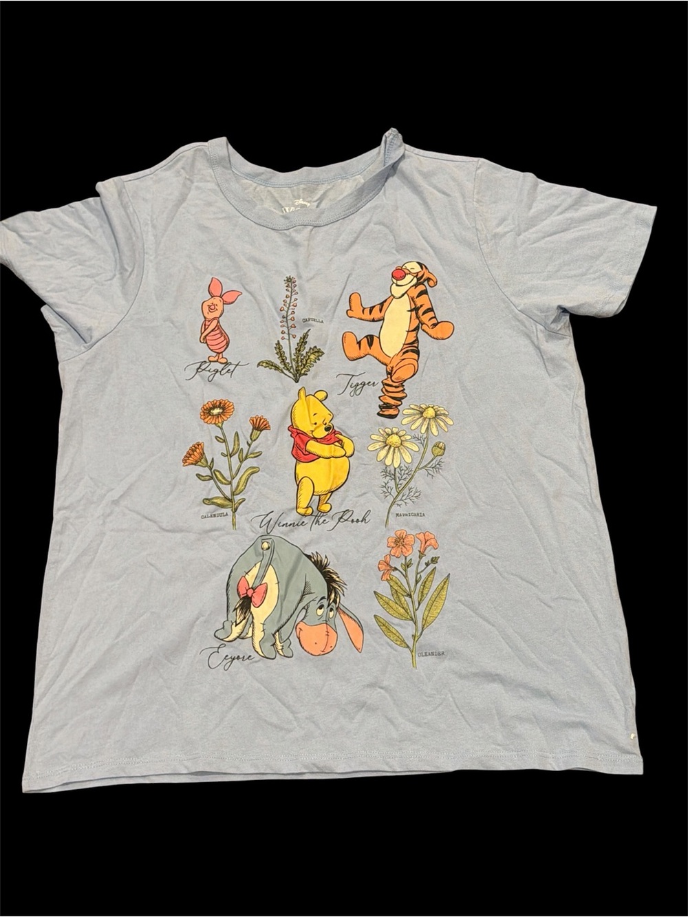 Disney Light Blue Winnie the Pooh Floral Character Tee